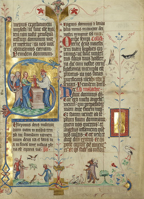 MS M.892 folio 3r (389 x 285 mm) HD